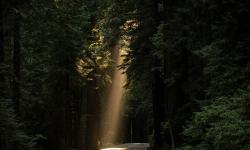 Featured image of post Getting Started As A Fractional CTO