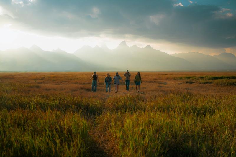 Featured image of post Teams and Trust Building